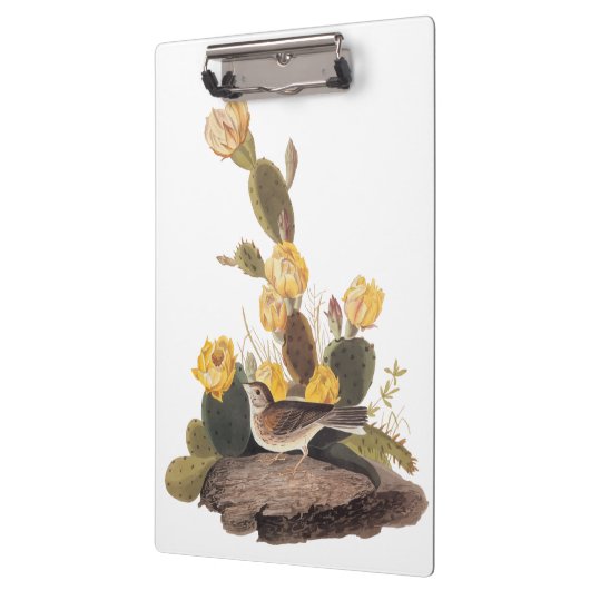Audubon Vesper Sparrow en Prickly Pear Cactus Klembord (Links)