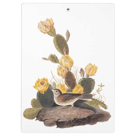 Audubon Vesper Sparrow en Prickly Pear Cactus Klembord (Achterkant)