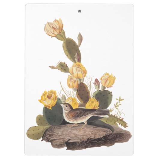 Audubon Vesper Sparrow en Prickly Pear Cactus Klembord (Achterkant)