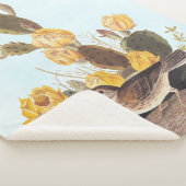 Audubon Vesper Sparrow en Prickly Pear Cactus Sherpa Deken (3/4)