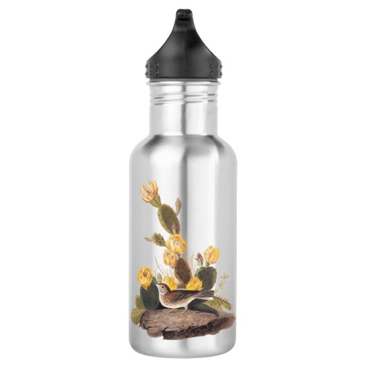 Audubon Vesper Sparrow en Prickly Pear Cactus Waterfles (Rechts)