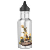 Audubon Vesper Sparrow en Prickly Pear Cactus Waterfles (Links)