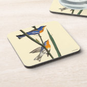 Audubon: Warbler Bier Onderzetter (Linkerzijde)