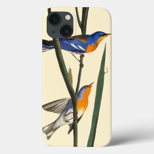 Audubon: Warbler Case-Mate iPhone Case (Achterkant)