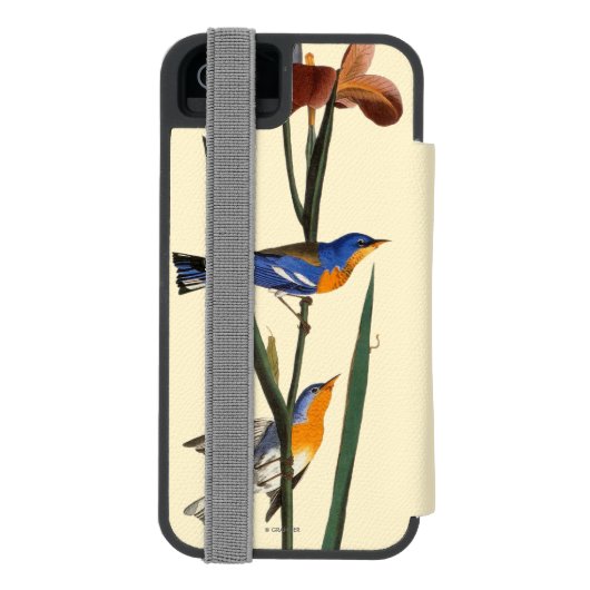 Audubon: Warbler Incipio iPhone Portemonnee Hoesje (Agenda Achterkant)