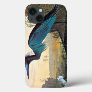 Audubon: Weinig Blauwe Reiger iPhone 13 Hoesje