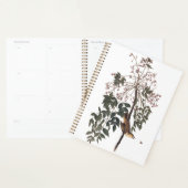 Audubon White Eyed Vireo Song Bird Art Planner (Display)