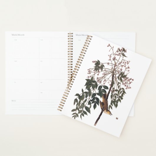 Audubon White Eyed Vireo Song Bird Art Planner (Display)