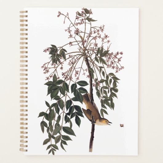 Audubon White Eyed Vireo Song Bird Art Planner (Voorkant)