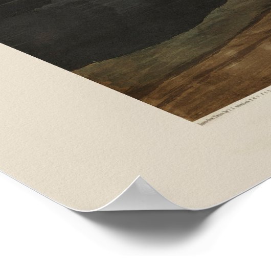 Audubon White Pelican Bird  Print (Hoek)