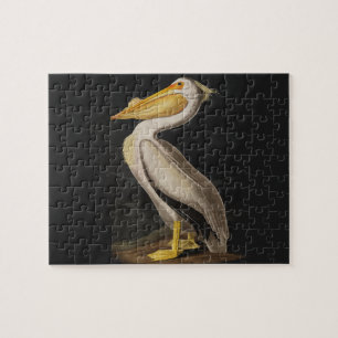 Audubon White Pelican Bird Print Legpuzzel