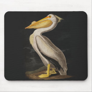 Audubon White Pelican Bird  Print Muismat