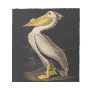 Audubon White Pelican Bird  Print Notitieblok