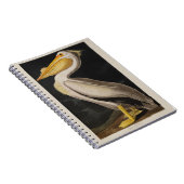 Audubon White Pelican Bird Print Notitieboek (Rechterzijde)