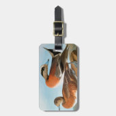 Audubon: Wigeon Bagagelabel (Voorkant verticaal)