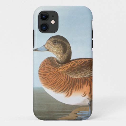Audubon: Wigeon Case-Mate iPhone Case (Achterkant)