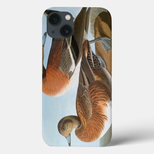 Audubon: Wigeon Case-Mate iPhone Case (Achterkant)