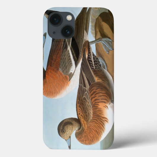 Audubon: Wigeon Case-Mate iPhone Case (Achterkant)