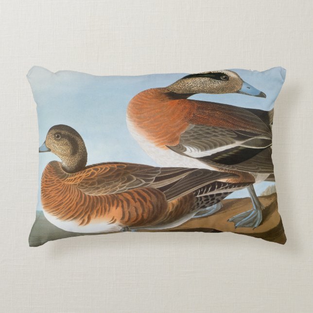 Audubon: Wigeon Decoratief Kussen (Voorkant)