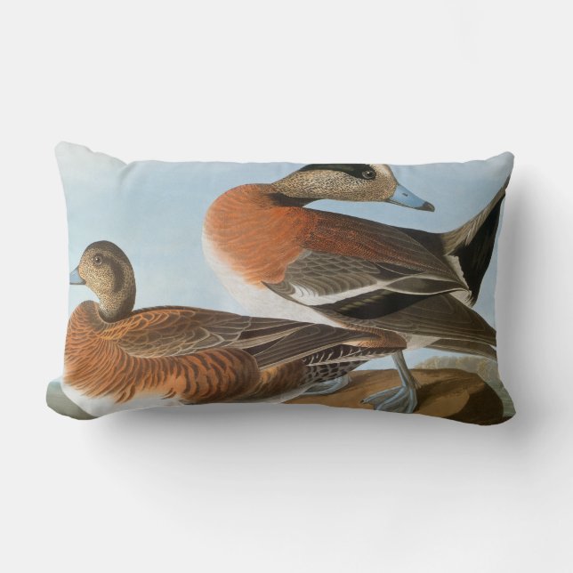 Audubon: Wigeon Kussen (Voorkant)