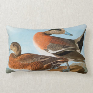 Audubon: Wigeon Kussen