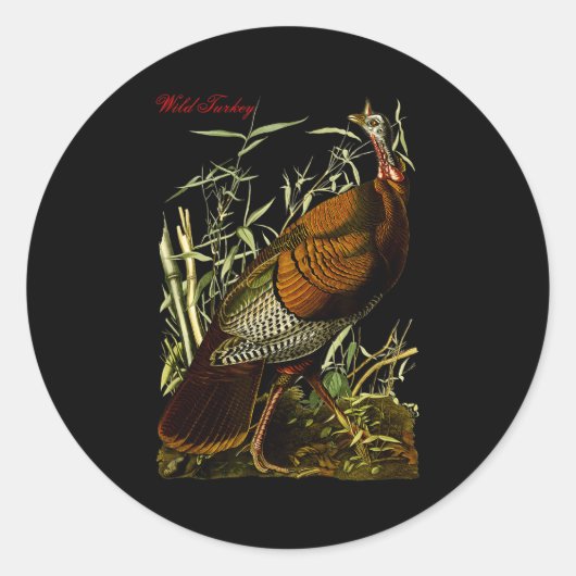 Audubon Wild Turkey North American Birds Education Ronde Sticker (Voorkant)