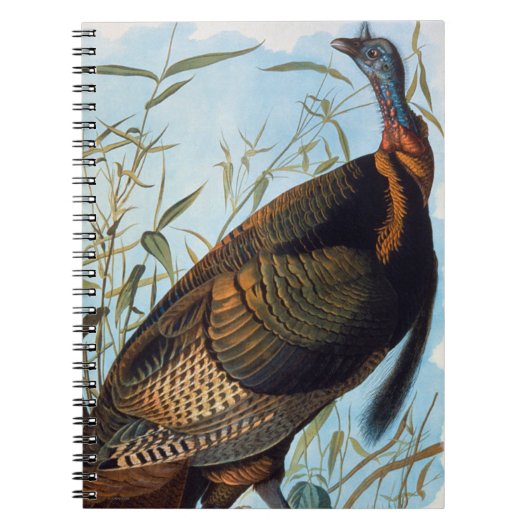 Audubon: Wild Turkey Notitieboek (Voorkant)