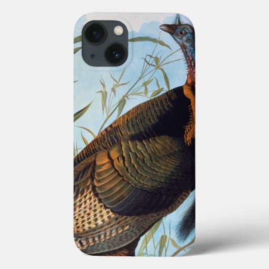 Audubon: Wild Turkije Case-Mate iPhone Case (Achterkant)