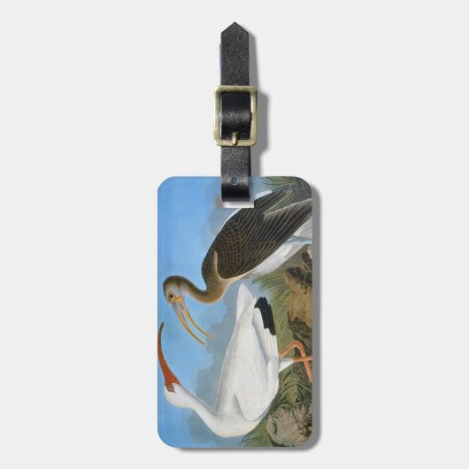 Audubon: Witte Ibis Bagagelabel (Voorkant verticaal)
