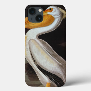 Audubon: Witte pelikaan iPhone 13 Hoesje