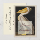 Audubon Witte Pelikaan Vogel Amerika Kaart (Voorkant / Achterkant)