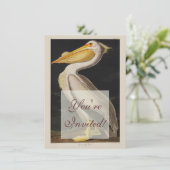 Audubon Witte Pelikaan Vogel Amerika Kaart (Staand voorkant)