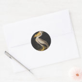 Audubon Witte Pelikaan Vogel Amerika Ronde Sticker (Envelop)