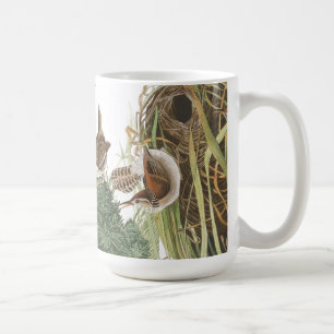Audubon Wren Birds Wildlife Animals Nests Mok