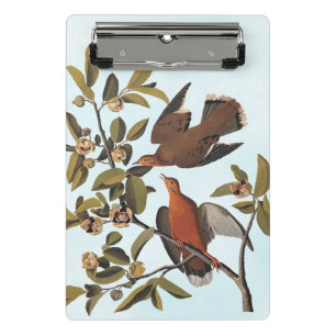 Audubon Zenaida Duif met bloemen Mini Klembord