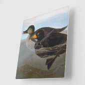 Audubon: zwarte coter vierkante klok (Hoek)