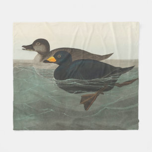 Audubon Zwarte Zwartkop Print: Vintage Kust Eend Fleece Deken