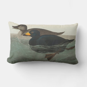 Audubon Zwarte Zwartkop Print: Vintage Kust Eend Kussen