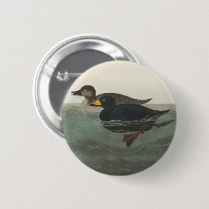 Audubon Zwarte Zwartkop Print: Vintage Kust Eend Ronde Button 5,7 Cm