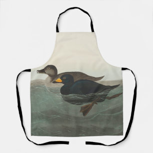 Audubon Zwarte Zwartkop Print: Vintage Kust Eend Schort