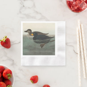 Audubon Zwarte Zwartkop Print: Vintage Kust Eend Servet
