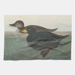 Audubon Zwarte Zwartkop Print: Vintage Kust Eend Theedoek