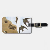 Audubon: Zwemelen Bagagelabel (Voorkant horizontaal)