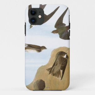 Audubon: Zwemelen iPhone 11 Hoesje