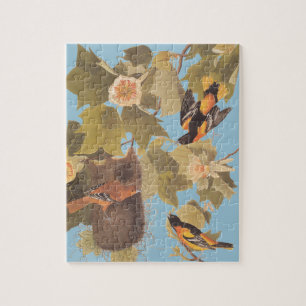 Audubon's Baltimore Oriole Trio Legpuzzel