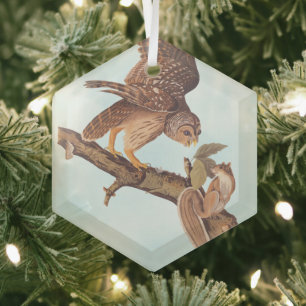Audubon's Barred Owl and Squirrel Odd Friends Glas Ornament