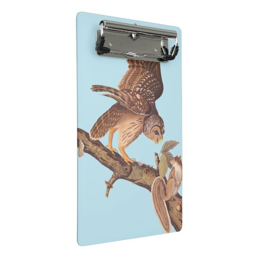 Audubon's Barred Owl and Squirrel Odd Friends Mini Klembord (Schuin)