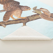 Audubon's Barred Owl and Squirrel Odd Friends Sherpa Deken (3/4)