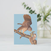 Audubon's Barred Owl en Happy Squirrel Friends Briefkaart (Staand voorkant)