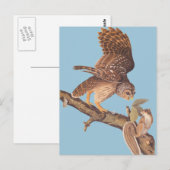 Audubon's Barred Owl en Happy Squirrel Friends Briefkaart (Voorkant / Achterkant)